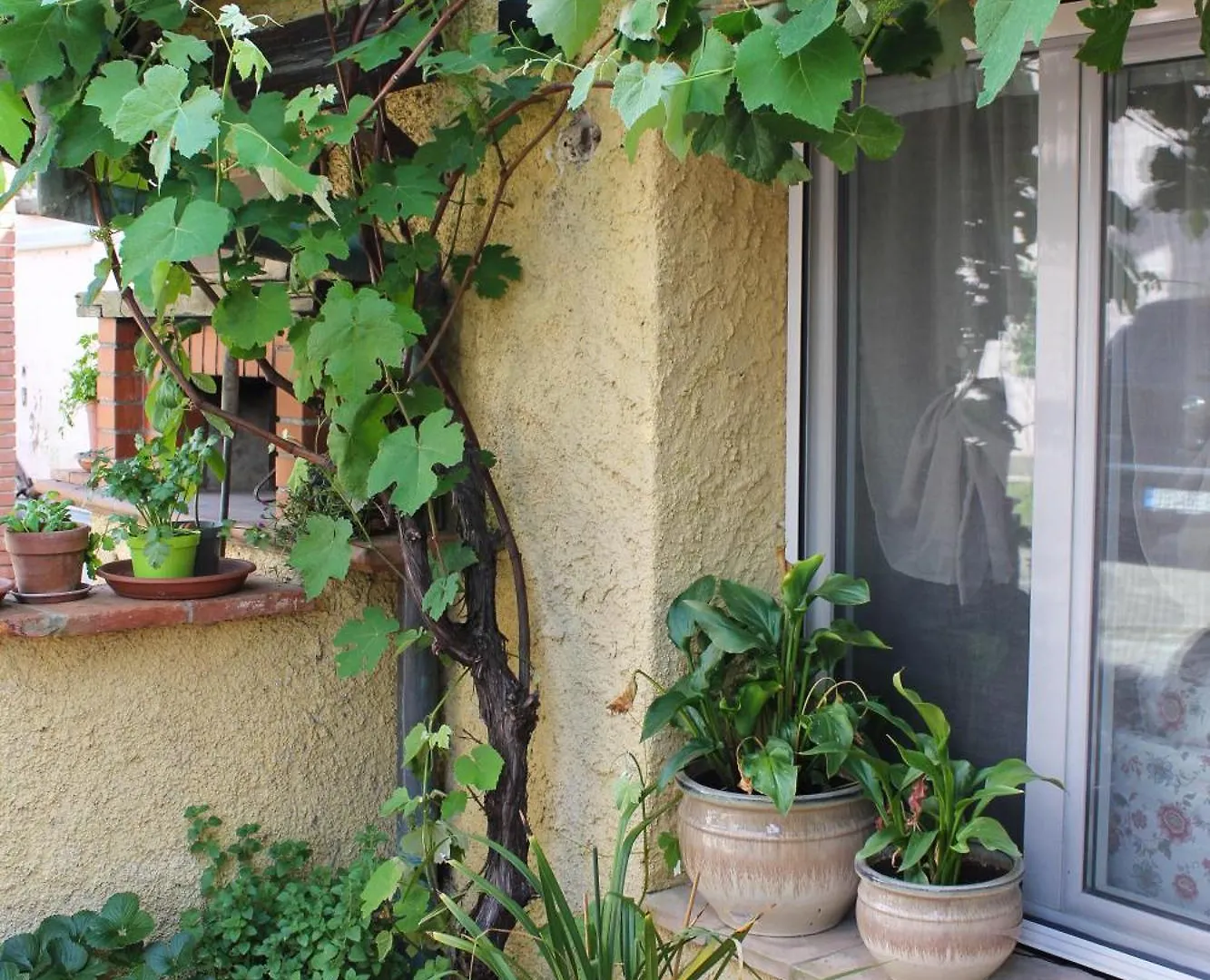 Villa La Casina Di Mezzo - Tiny House Camaiore Italia