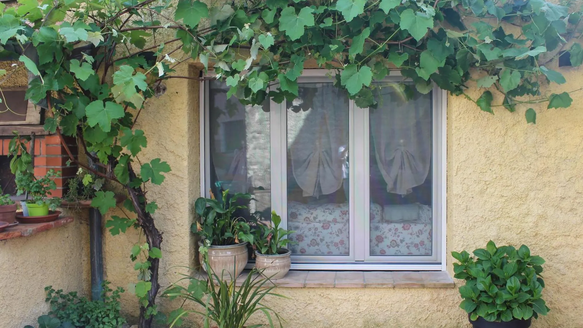 Villa La Casina Di Mezzo - Tiny House Camaiore Italia
